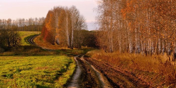 1366x768 48+] Free Country Desktop Wallpaper on WallpaperSafari