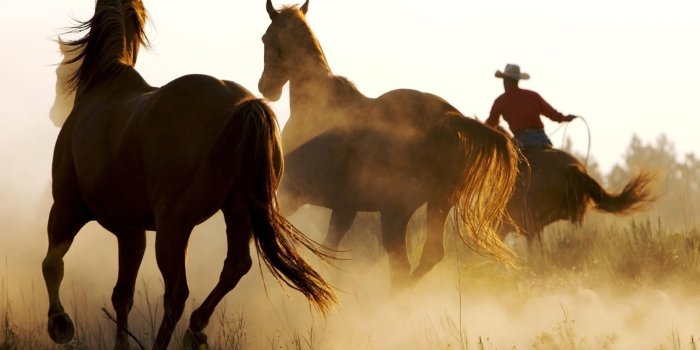 1920x1200 Free Download Country Backgrounds