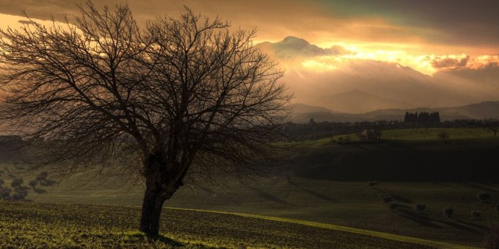 1440x900 Country Wallpapers Desktop « Firefox Wallpaper « Free Download