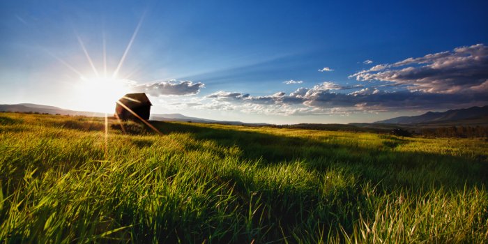 1280x800 Back in Grizzly Country