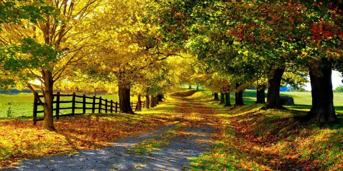 1920x1200 Country Desktop Wallpaper (52+ images)