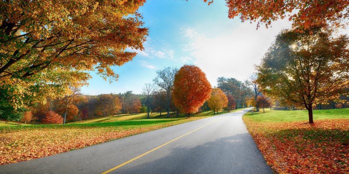 1920x1200 Lovely Country Road Autumn And Desktop Wallpaper Image