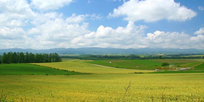 1280x800 Travel Japan: Country field of Hokkaido 1280x800 NO.22 Desktop