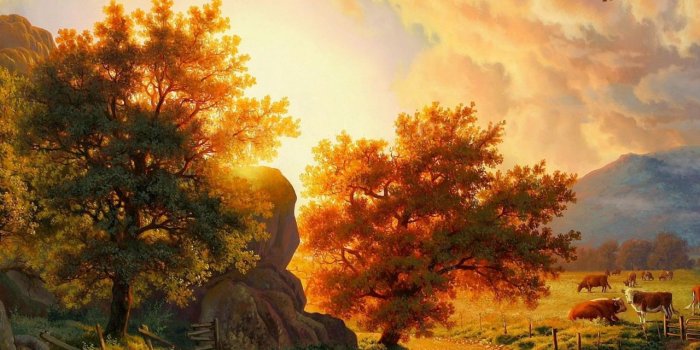 1280x1024 1280x1024 Pasture Cows Splendid Country desktop PC and Mac wallpaper