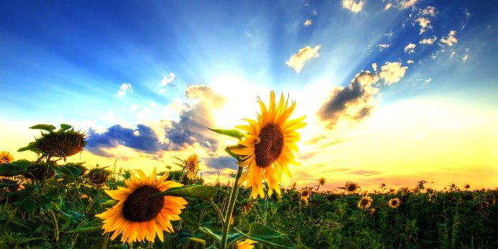 1600x900 Country Desktop Wallpaper posted by Ethan Mercado