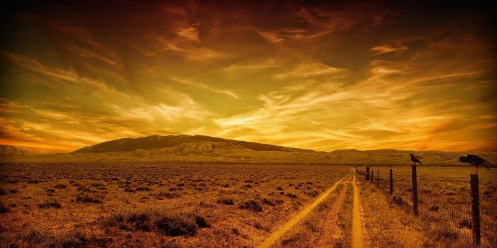 1920x1080 birds skyscapes country road 1920x1080 wallpaper – Animals Birds