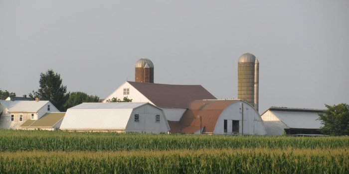 1024x768 Free Amish Life Desktop Backgrounds - Wanda Brunstetter