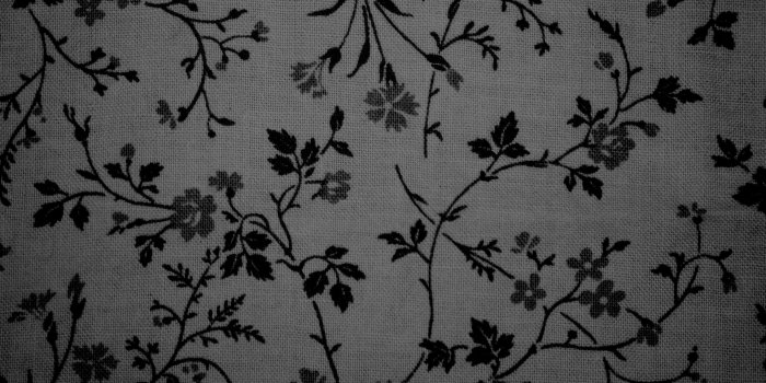 3000x2000 Black on Gray Floral Print Fabric Texture (With images) | Floral