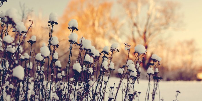 2048x1365 Classic Computer Wallpapers - Top Free Classic Computer