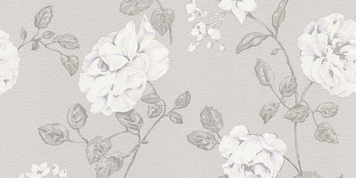 1000x800 White And Grey Wallpapers Group (53+)