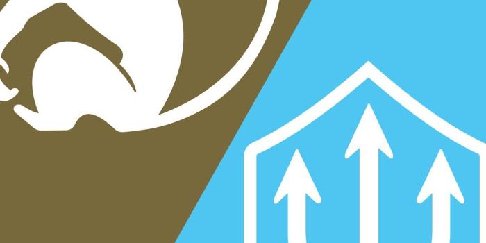 1242x2688 RWBY Sun Wukong and Neptune Vasilias Album on Imgu... iPhone X