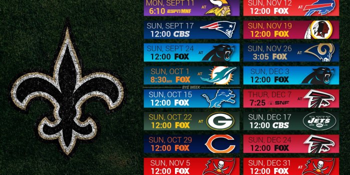 1920x1080 New Orleans Saints 2018 Wallpaper (62+ images)
