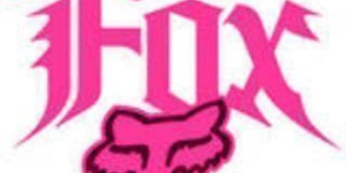 1024x768 Free download Go Back Images For Fox And Monster Logo [1024x768