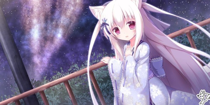 1332x850 Photo Wallpaper Night, Girl, Neko - Fox Girl Kimono, Hd Wallpapers