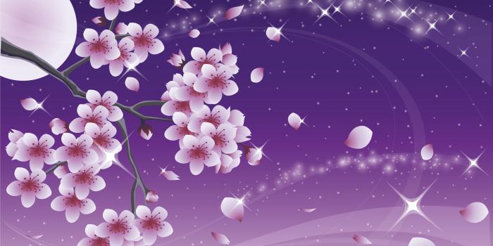 5000x3516 2301 blossom cherry wallpaper cute | Cherry blossom wallpapers
