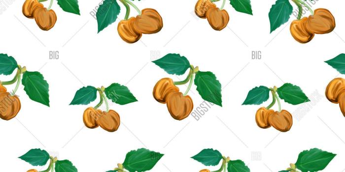 1500x1620 Cute Cherry Seamless Image & Photo (Free Trial) | Bigstock