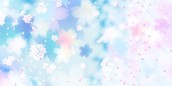 1280x800 Pretty Cherry Blossom Wallpaper 40332 1280x800px