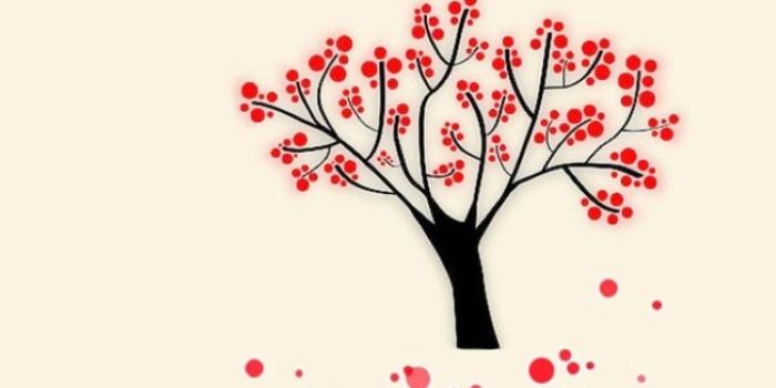 720x1280 Cute little tree - image #1964663 on Favim.com