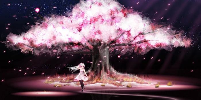 1245x700 Girl Anime Scenery Cherry Blossoms dress cute wallpaper