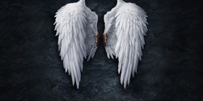 1920x1200 Angel Wings Wallpaper (72+ pictures)