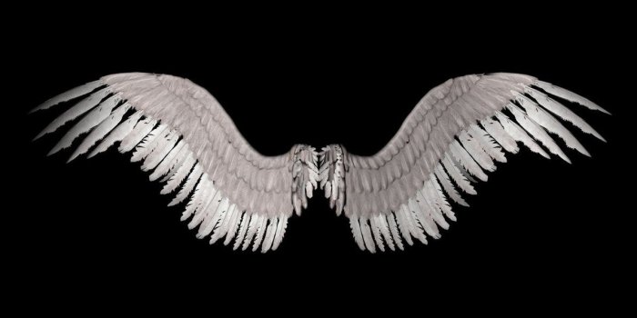 1191x670 New Angel Wings by shadavar-stock | Wings wallpaper, Wings drawing