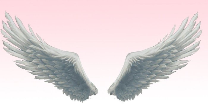 1140x700 71+] Angel Wings Wallpaper on WallpaperSafari