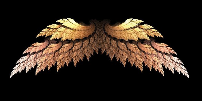 1280x801 Free download Open Angel Wings Wallpaper The matrix [1280x801] for