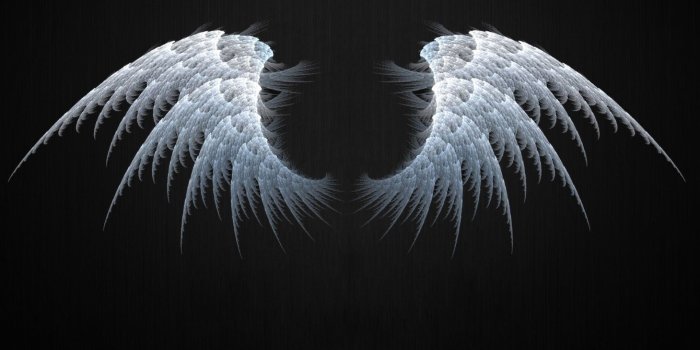1920x1200 Wings Wallpapers - Top Free Wings Backgrounds - WallpaperAccess