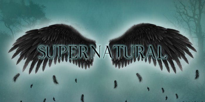 2560x1440 Best 44+ Angel Wings Twitter Backgrounds on HipWallpaper | Angel