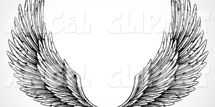 1024x1044 Free Angel Wings Black And White, Download Free Clip Art, Free