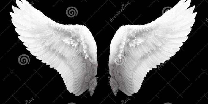 1300x844 Angel Wings Royalty Free Stock Photos - Image: 3213848 | Angel