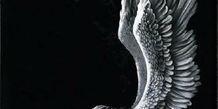 728x1092 HD wallpaper: Alone, angel, black, fantasy, girl, light, white