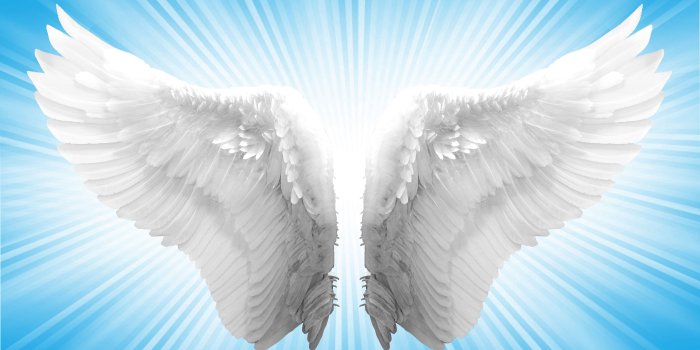 3500x2444 Angel Wings on WallpaperGet.com