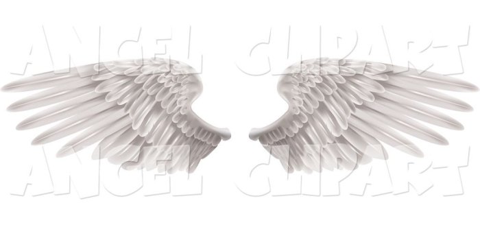 1024x1044 Free download wings spread open isolated on a white background