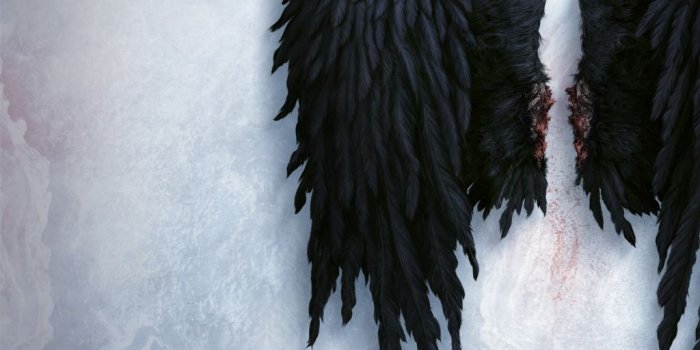 1024x1024 Best 24+ Wing Wallpaper on HipWallpaper | Mind Blowing Wallpapers