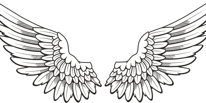 1600x737 Wings PNG images free download, angel wings PNG