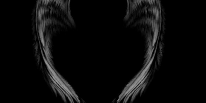 1024x1024 200 Beautiful Wings Wallpaper Inspiration - Cameeron Web