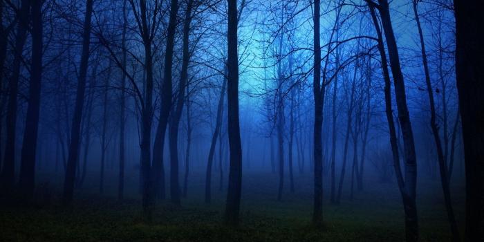 1920x1080 forest, Nature, Tree, Landscape, Night, Fog, Mist, Dark, Spooky