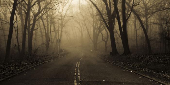 1920x1200 Creepy Forest Backgrounds Group (59+)