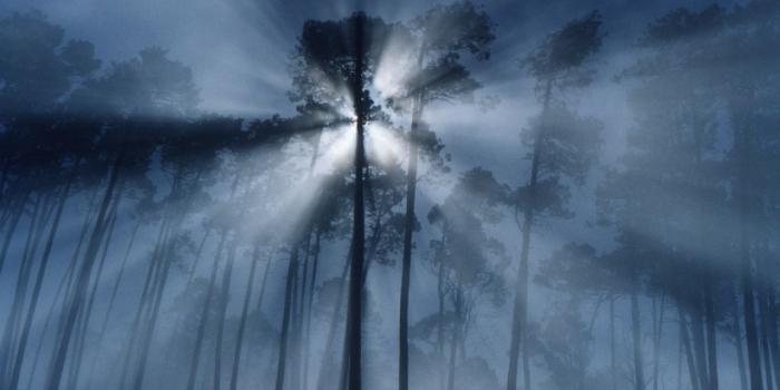 1158x774 Best 34+ Fog Background on HipWallpaper | Fog Wallpaper, Creepy