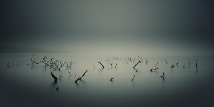 1920x1080 nature, Landscape, Water, Sticks, Long Exposure, Branch, Horizon
