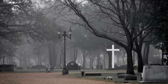 2048x1365 Free stock photo of cemetery, creepy foggy cemetery, fog