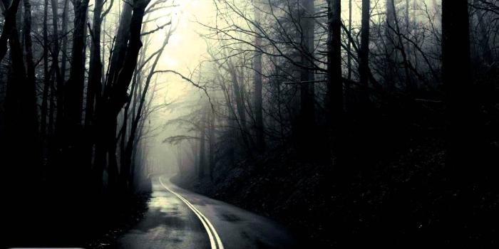 1280x720 Ambient Creepy Music | Road Through The Dark Forest | Sad & Somber
