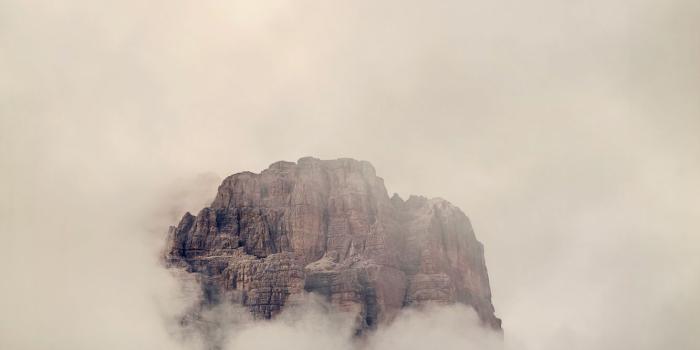 1333x2000 Best 35+ Fog Phone Wallpapers on HipWallpaper | Fog Wallpaper