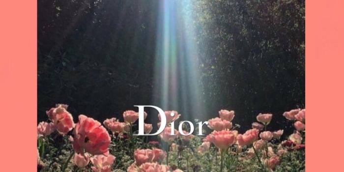 1010x1800 flowers #garden #dior #fashion #wallpaper #lockscreen | Aesthetic