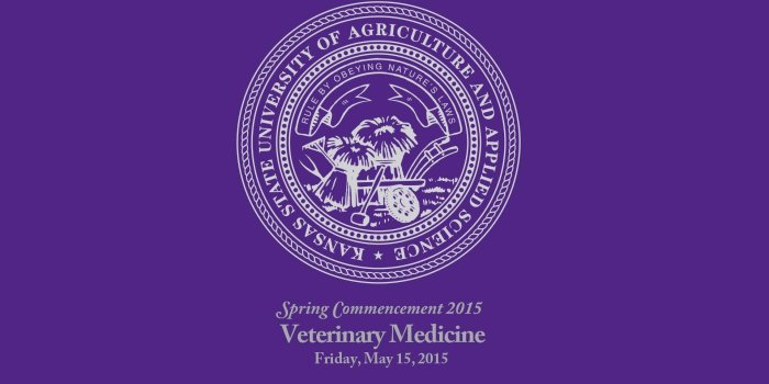 1920x1080 Veterinary Medicine Wallpapers