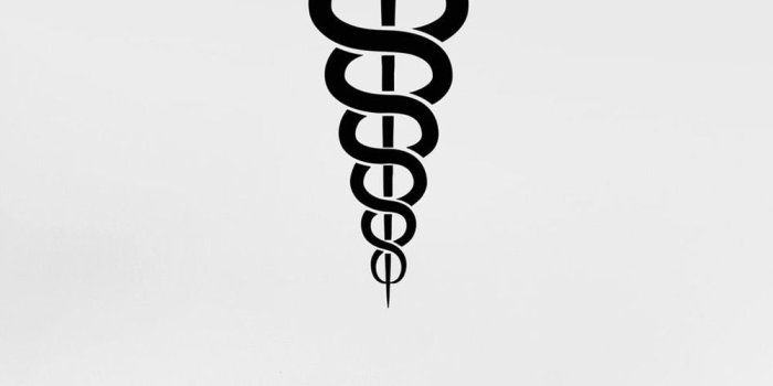 1000x1081 Caduceus Vinyl Wall Decal Medicine Pharmacy Healthcare Art Decals