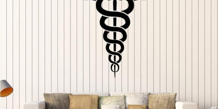 1000x998 Amazon.com: Sdefw Caduceus Vinyl Wall Decal Medicine Pharmacy