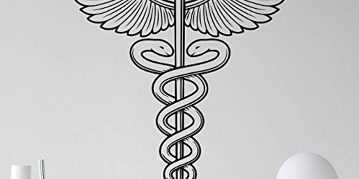 1491x1500 Amazon.com: Caduceus Wall Vinyl Decal Winged Medicine Symbol