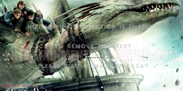 1280x1024 harry potter 7 part 2 in dragon harrypotter